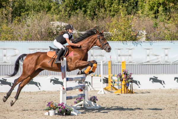 How can equestrian riders optimize their jumping techniques for better scores?